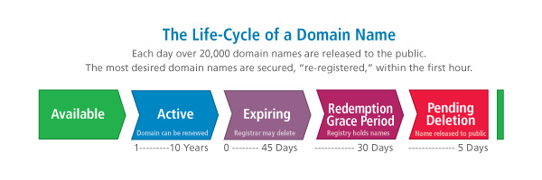 Description: vong doi ten mien